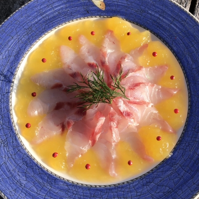 タイとゼリーのカルパッチョ